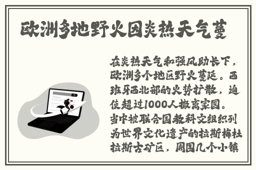 jammyfinger毛茸茸包